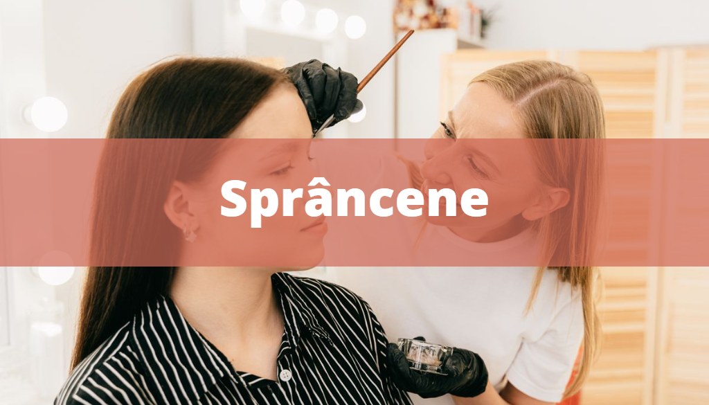 Laminare și stilizare sprâncene în Sector 1, Pipera